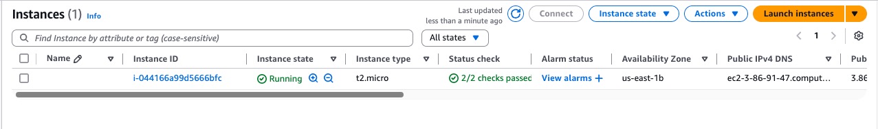 screenshot showing output of EC2 automation on console
