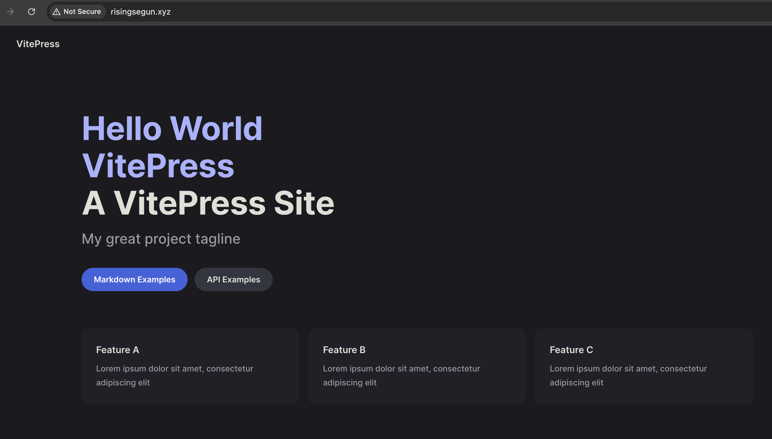 Screenshot showing VitePress Site running